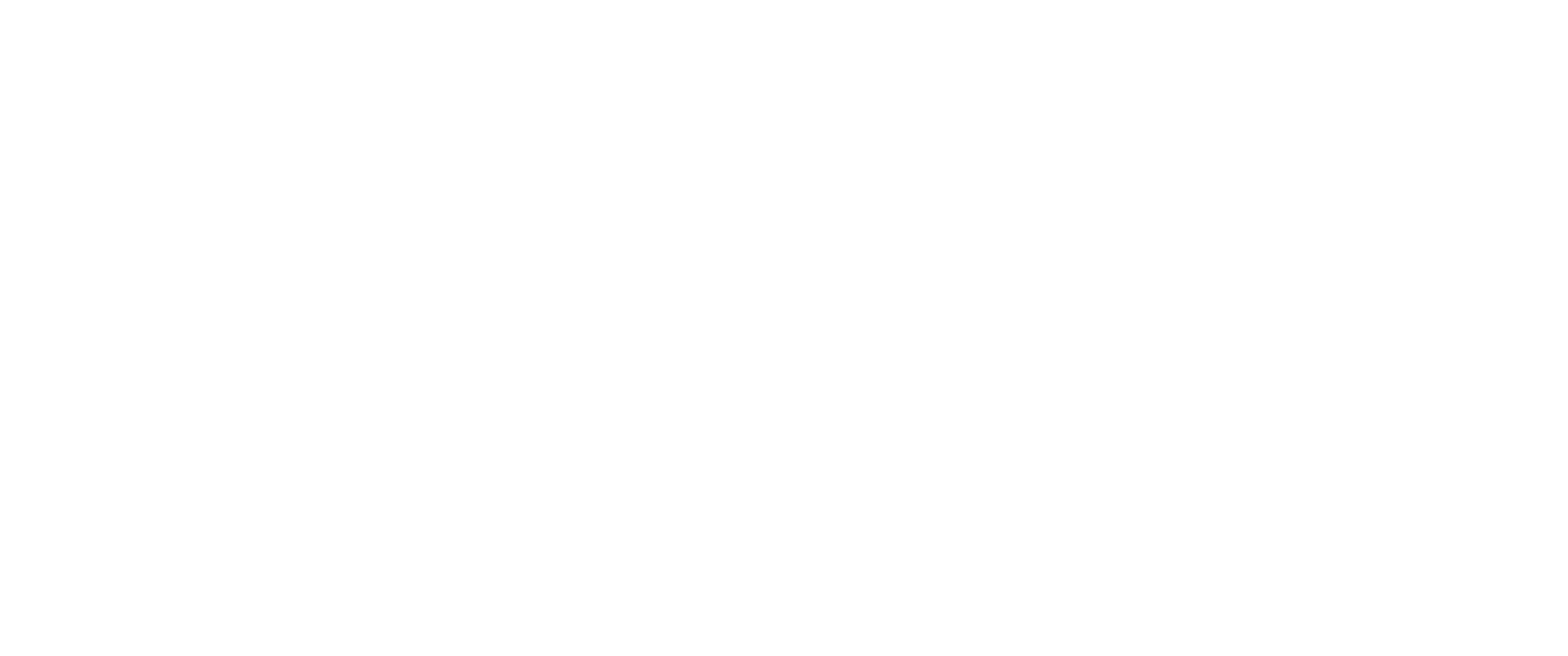 logo-pied